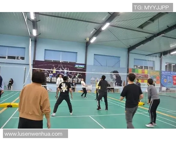 张丽独家分享排球心得与技巧助你提升球技的秘密之道